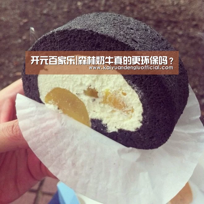 开元登录
