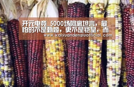 开元登录