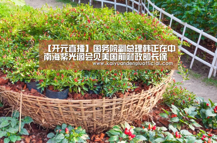 开元电竞